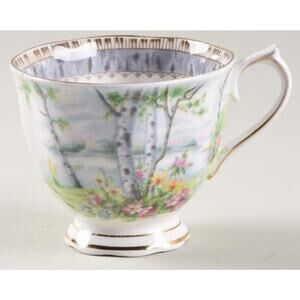 ROYAL ALBERT BONE CHINA ENGLAND SILVER BIRCH FOOTED CUP